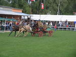 Kateřinice
